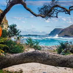 Nature around Hole in the Wall, South Africa